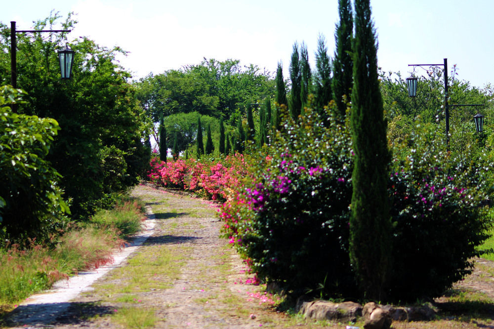 Hacienda San Nicolas De Las Fuentes Теучитлан Экстерьер фото